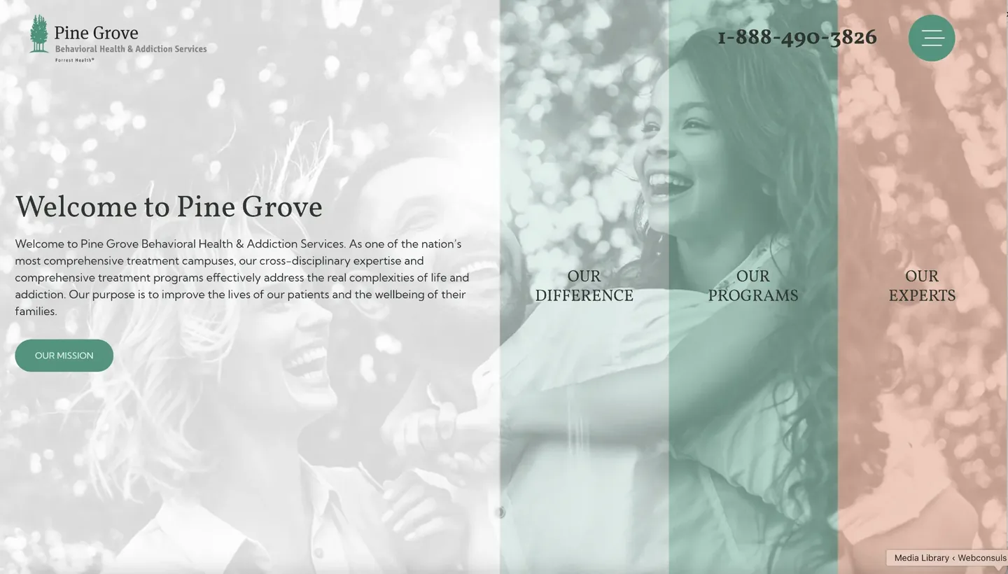 Pine Grove Behavioral Health website designed and built by Webconsuls